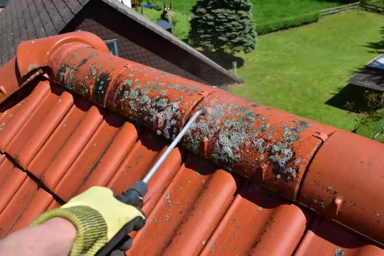 Quand et comment démousser son toit pour maximiser sa durabilité ?, Bordeaux, ED Espaces Verts